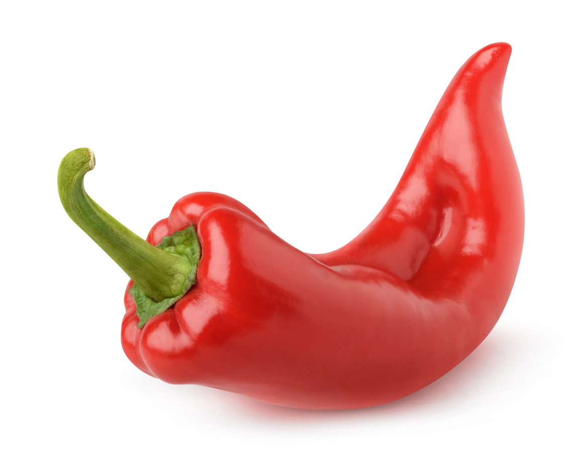 Isolated bell pepper. One curved red capsicum pepper isolated on white background with clipping path